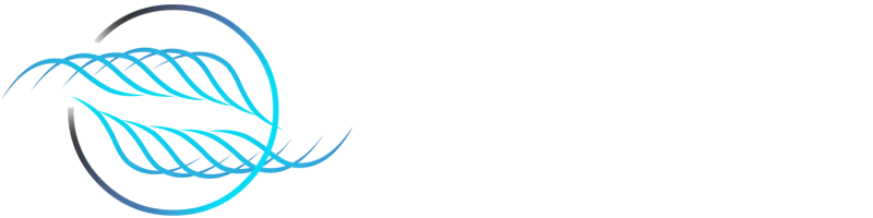Lumex Engineering